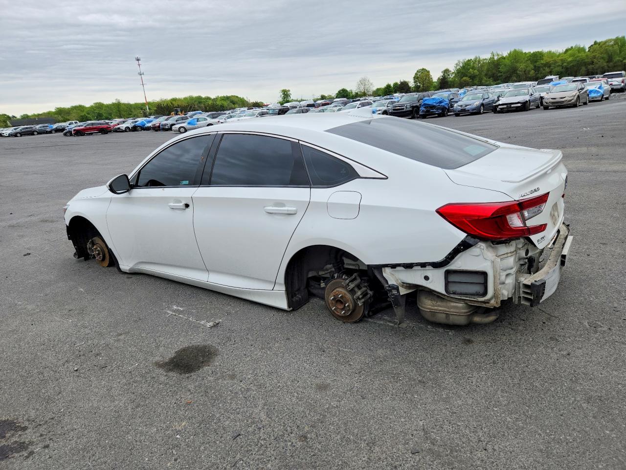 2020 HONDA ACCORD SPORT photo 3