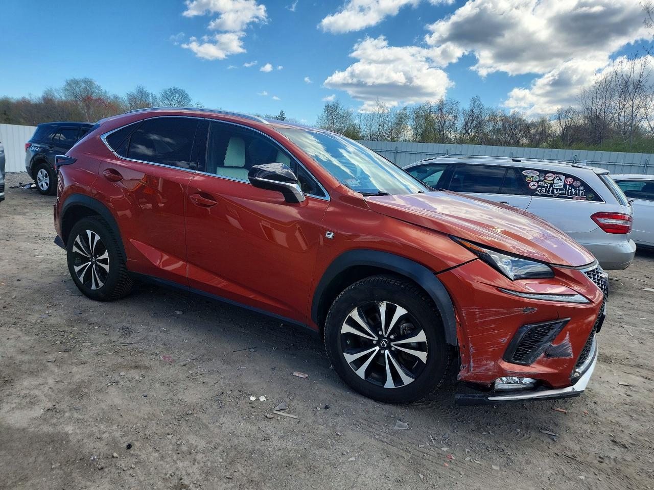 2020 LEXUS NX 300 F SPORT photo 4