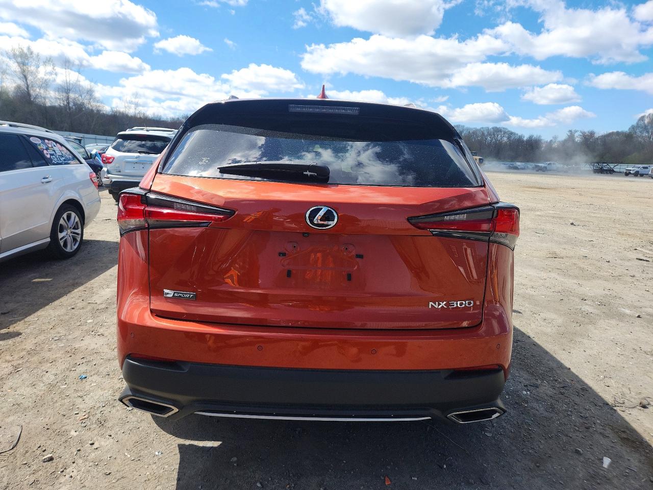 2020 LEXUS NX 300 F SPORT photo 6