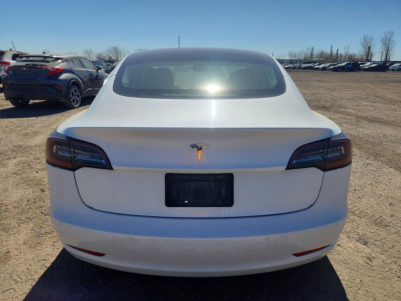 2020 TESLA MODEL 3 photo 11