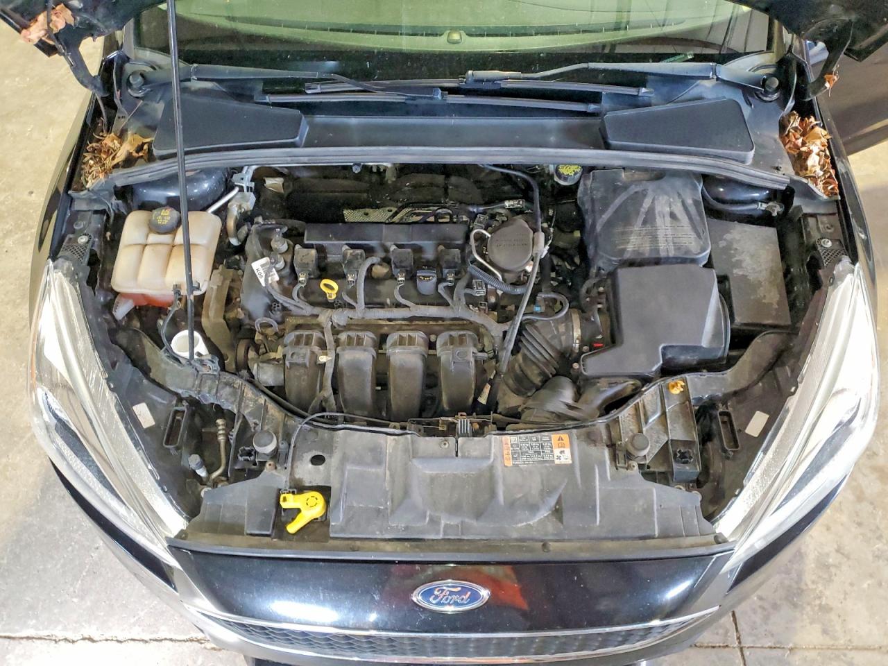 2015 FORD FOCUS SE photo 31