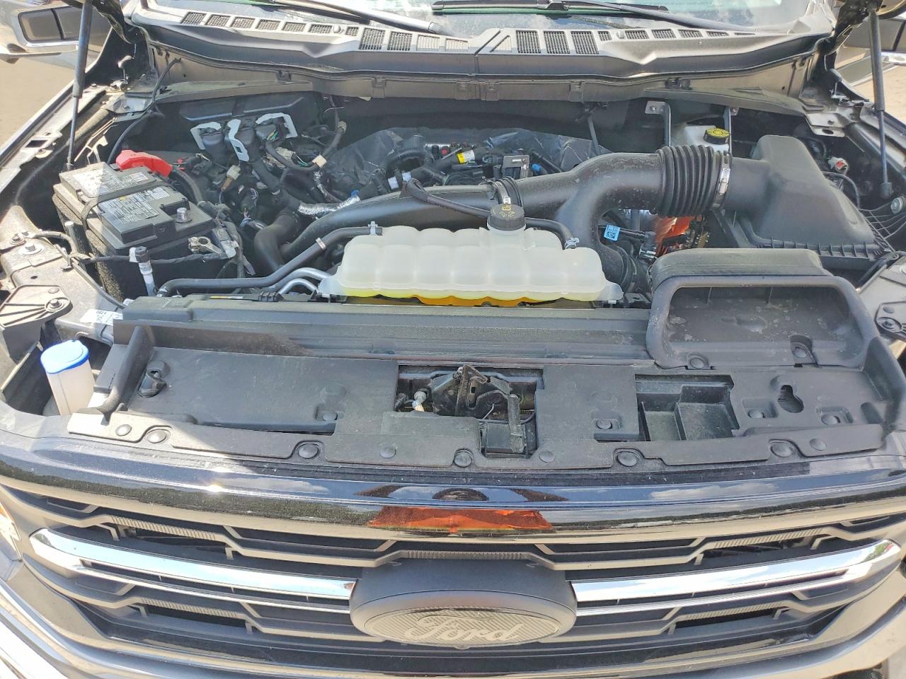 2025 FORD F150 XLT photo 31