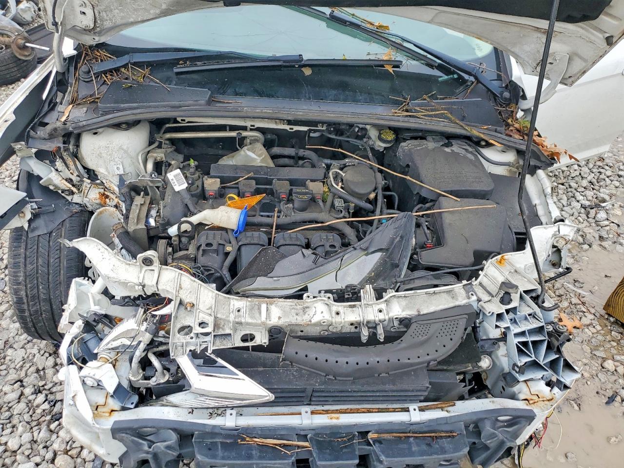 2013 FORD FOCUS SE photo 31