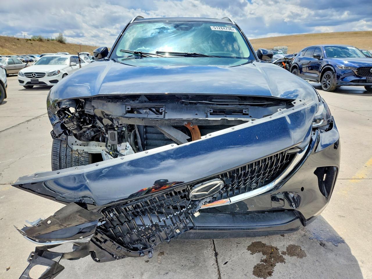 2024 MAZDA CX-90 PREMIUM photo 13