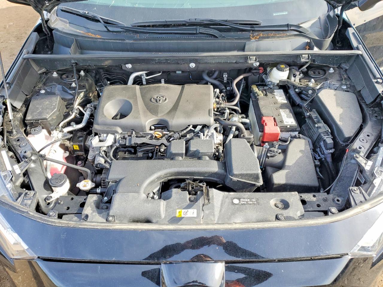 2024 TOYOTA RAV4 photo 12