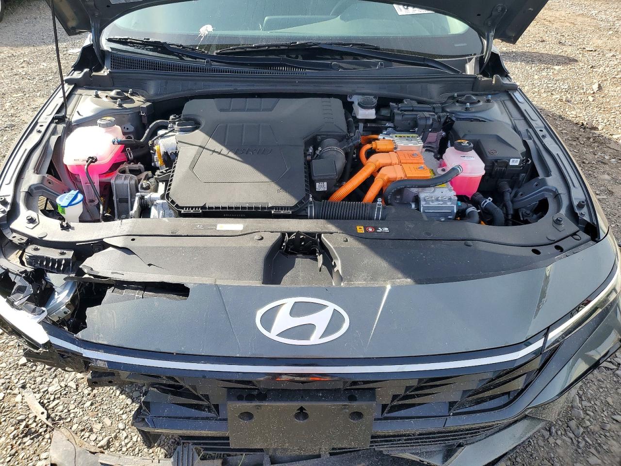 2025 HYUNDAI ELANTRA LIMITED photo 11