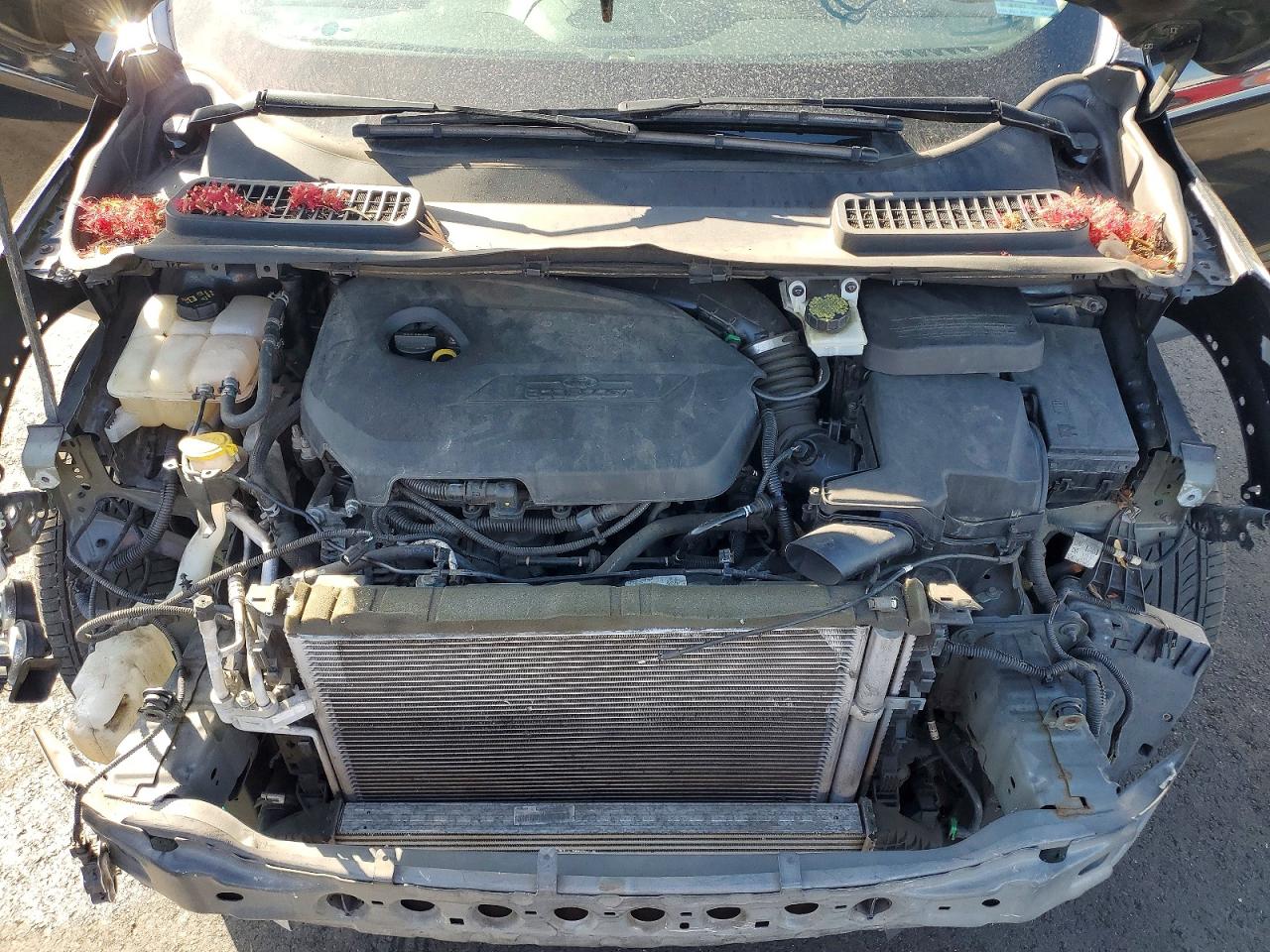 2014 FORD ESCAPE SE photo 23