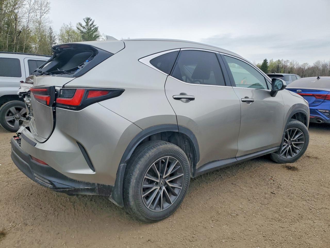 2022 LEXUS NX 350H photo 7