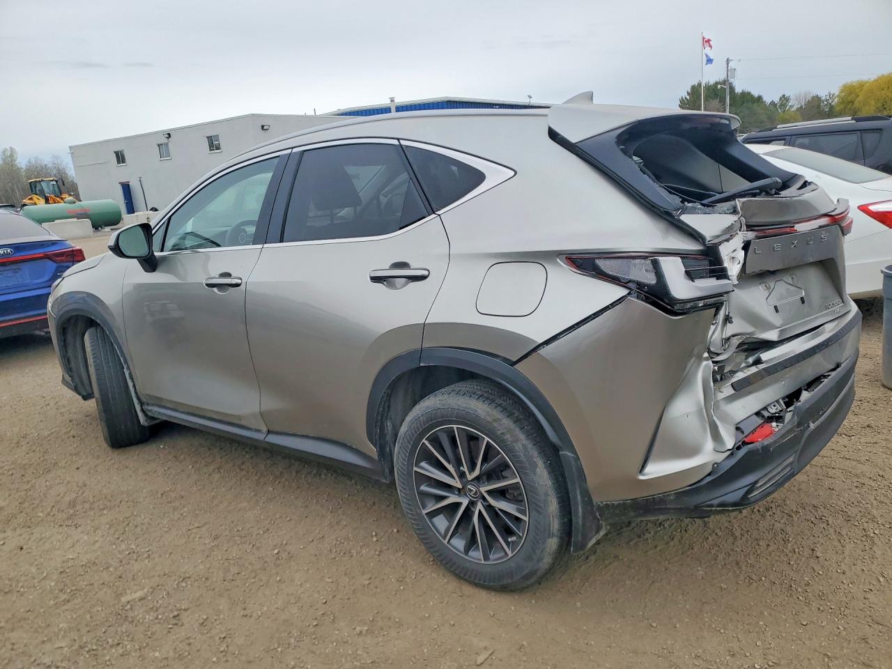 2022 LEXUS NX 350H photo 4