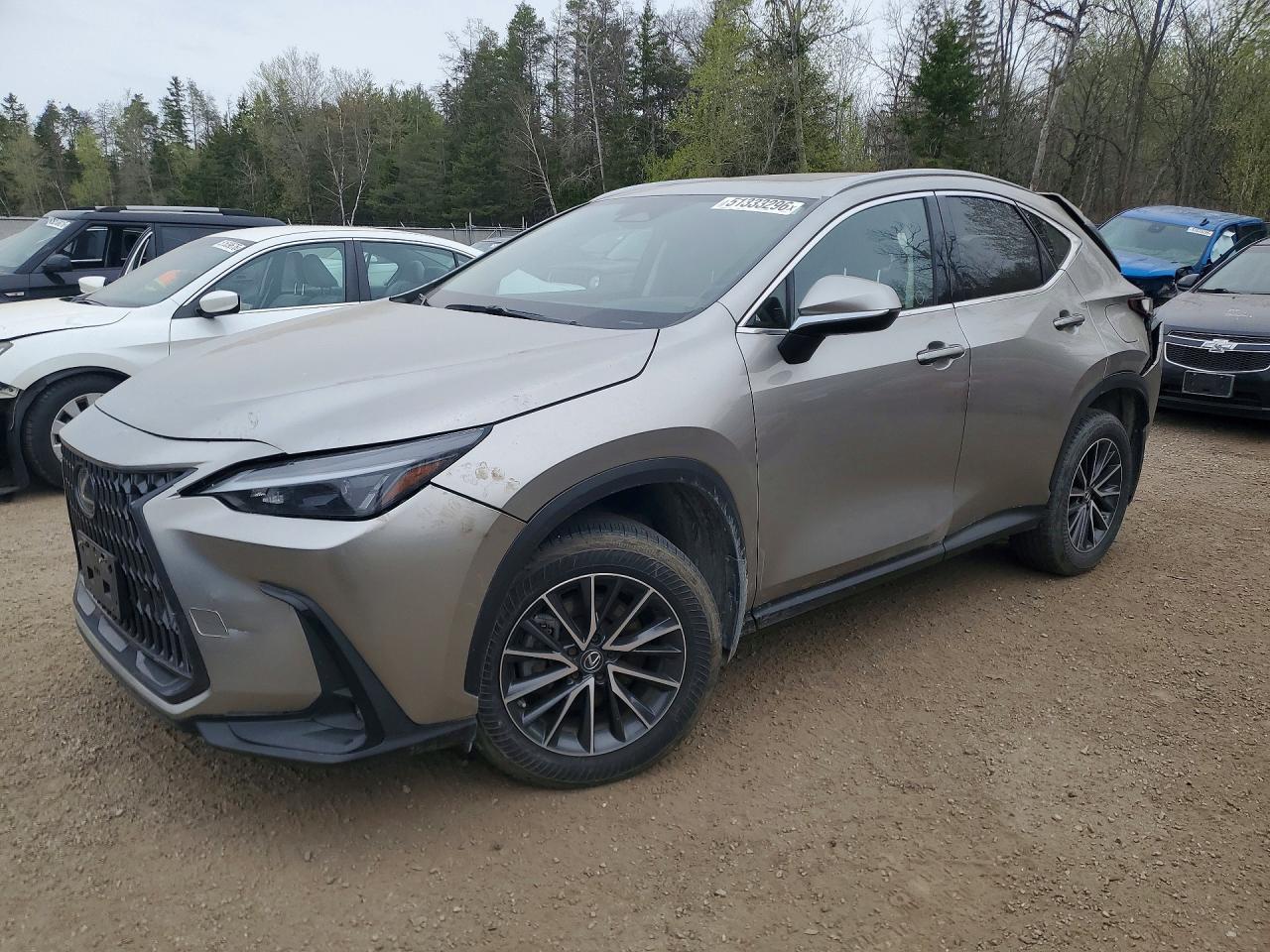 2022 LEXUS NX