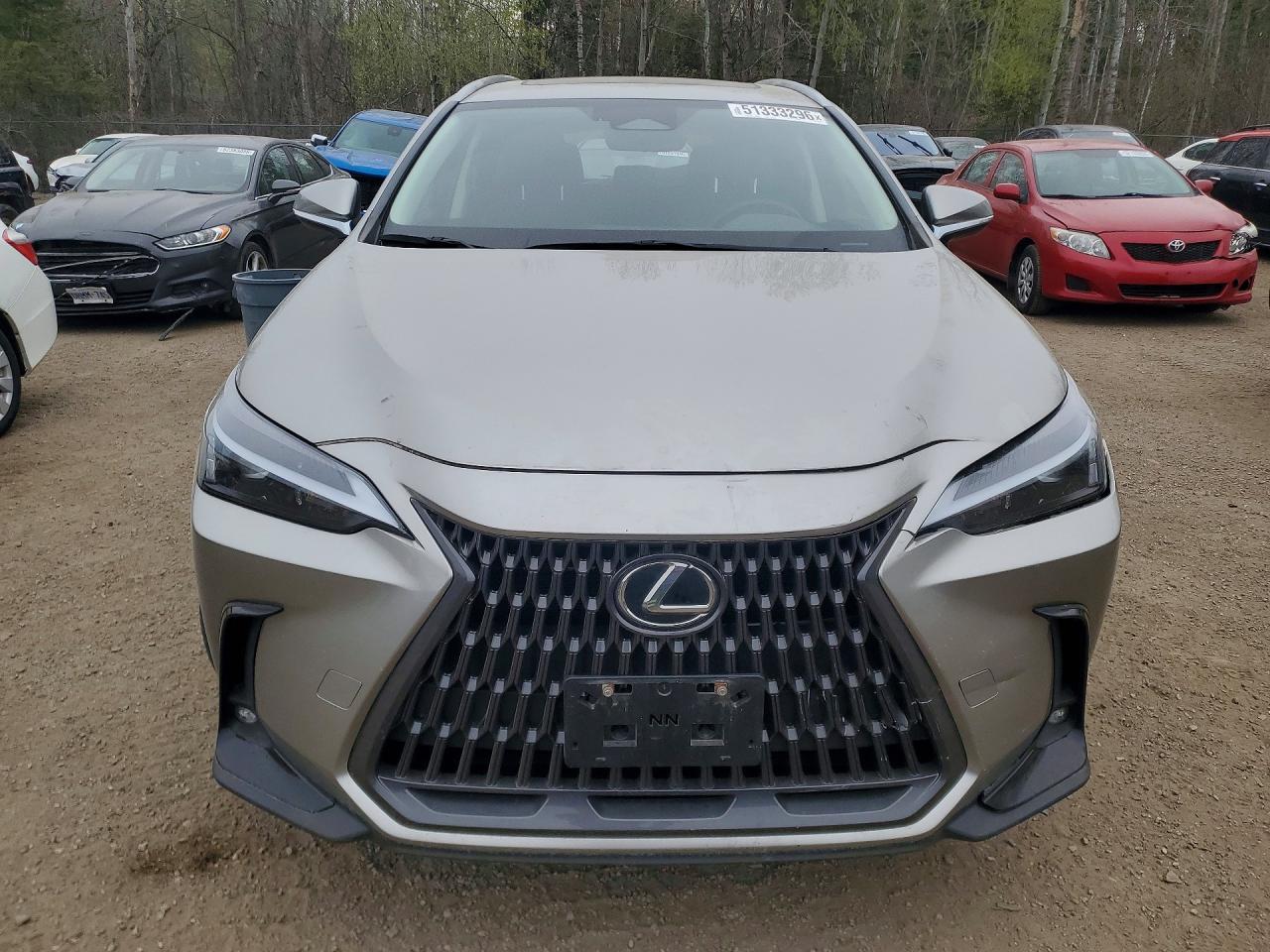 2022 LEXUS NX 350H photo 13