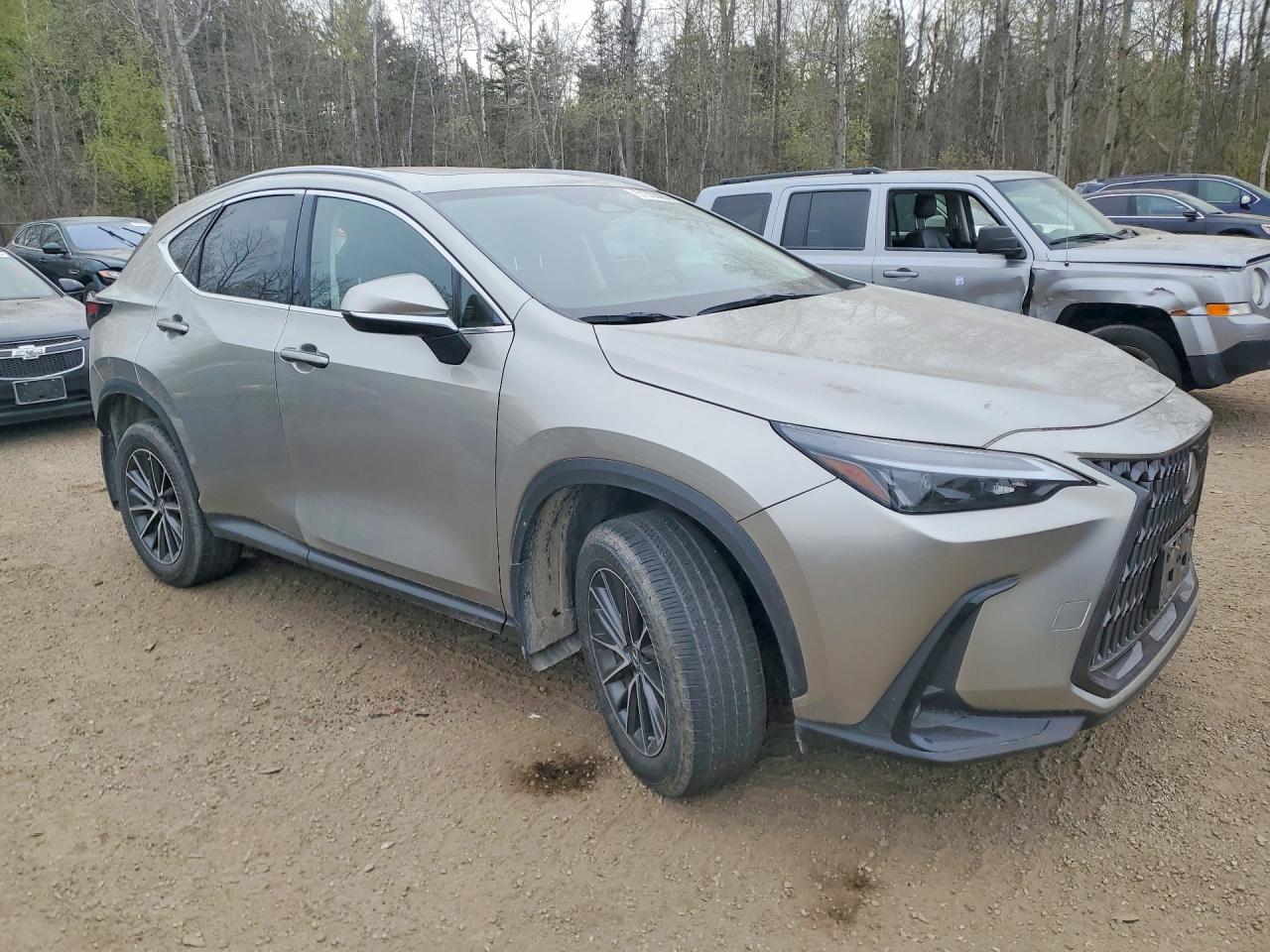 2022 LEXUS NX 350H photo 10