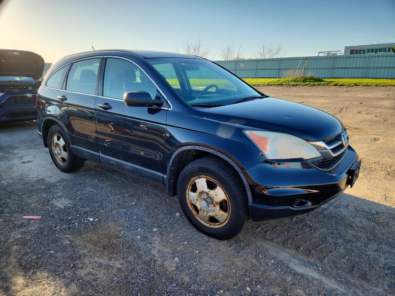 2010 HONDA CR-V LX photo 7