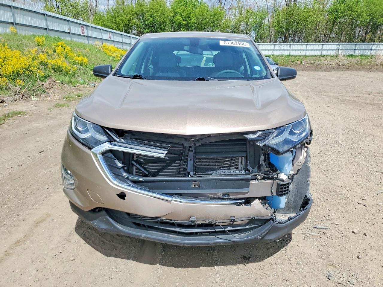 2019 CHEVROLET EQUINOX LS photo 5