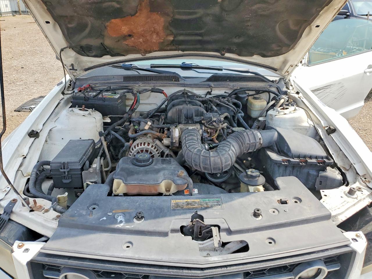 2008 FORD MUSTANG photo 21