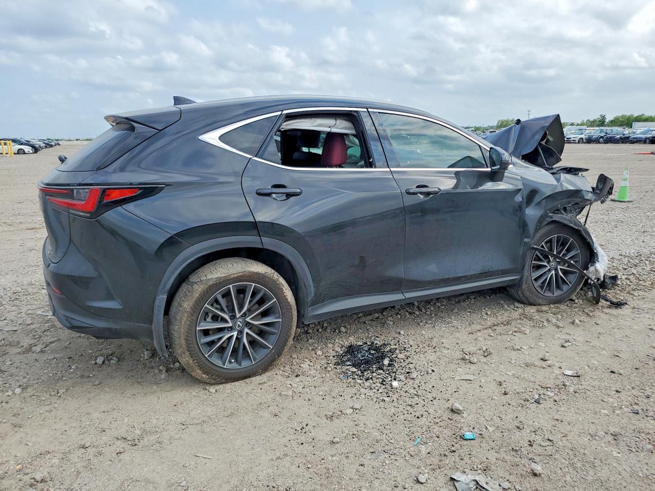 2024 LEXUS NX 350 LUXURY photo 7
