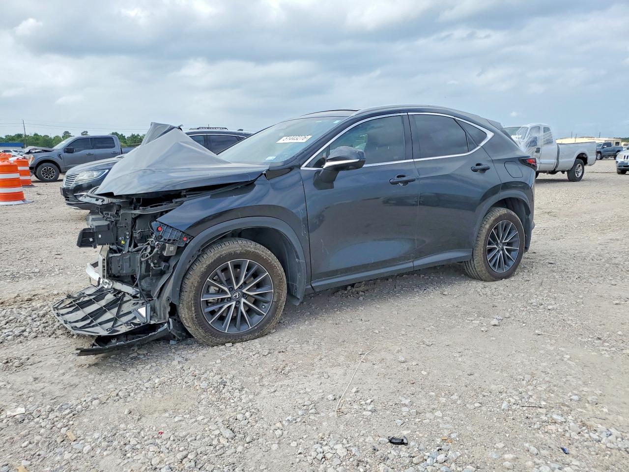 2024 LEXUS NX