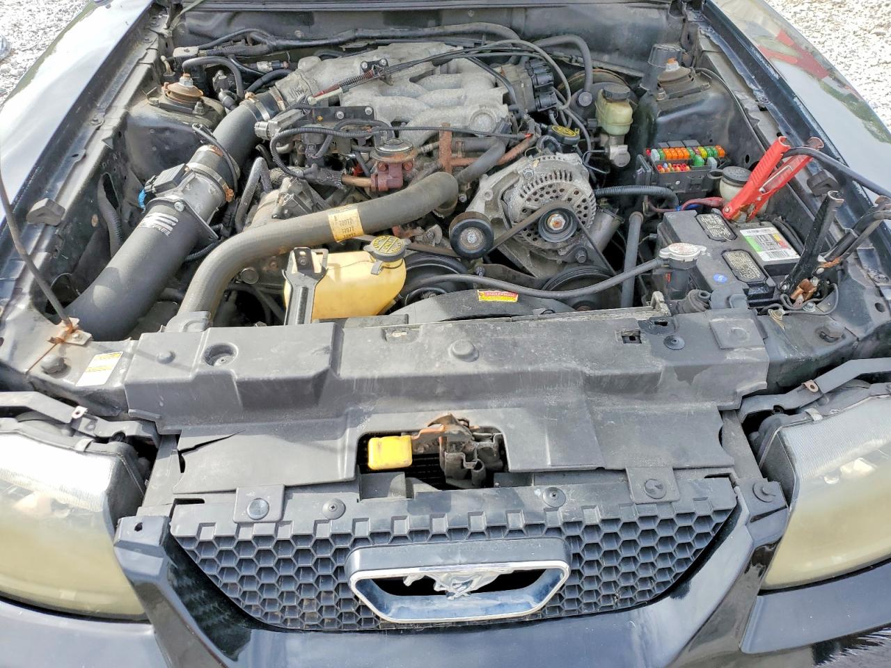2000 FORD MUSTANG photo 31