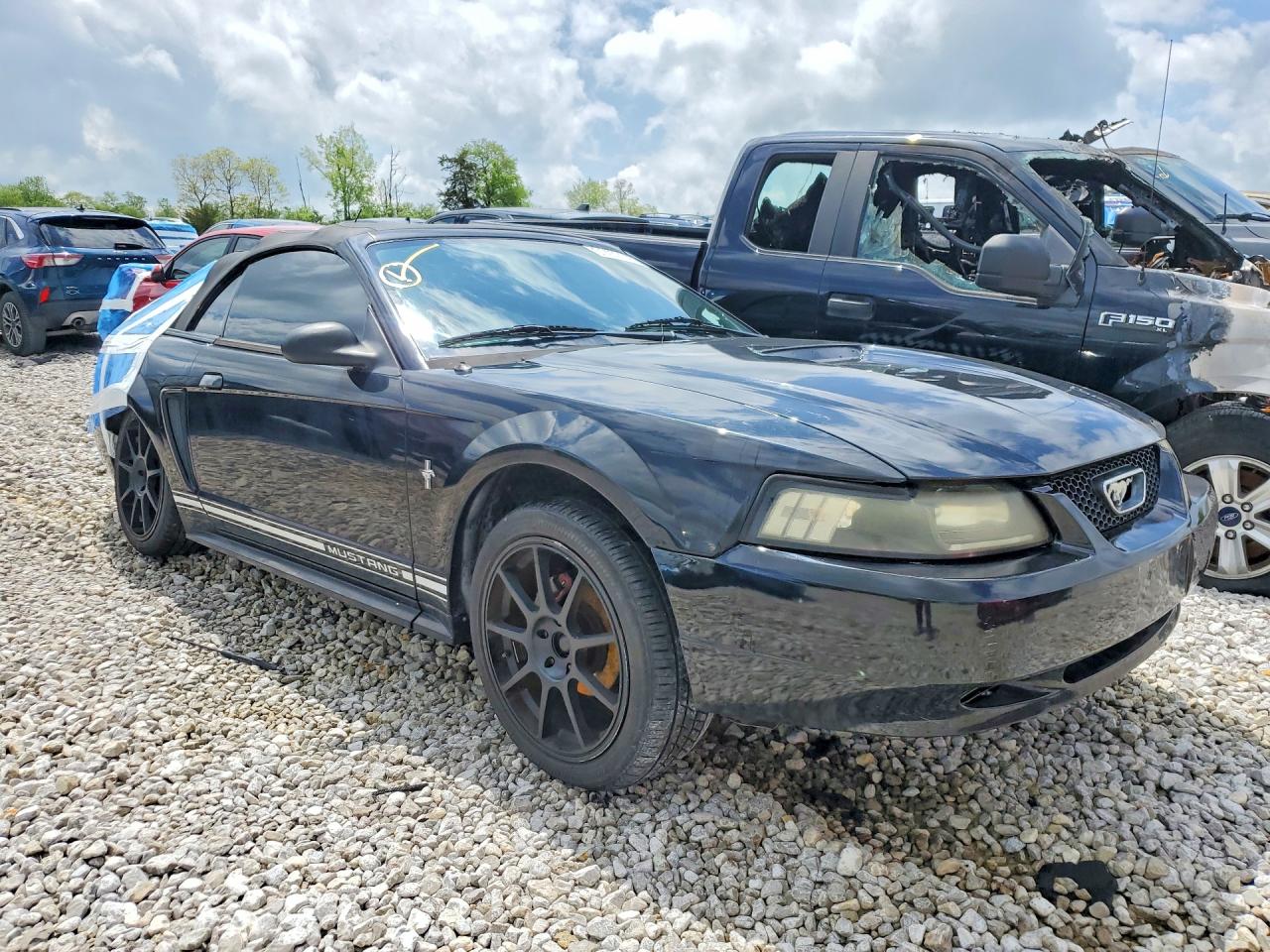 2000 FORD MUSTANG photo 10