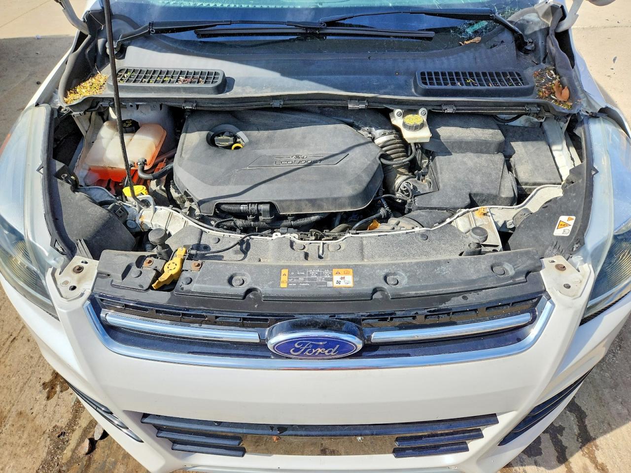 2014 FORD ESCAPE TITANIUM photo 23