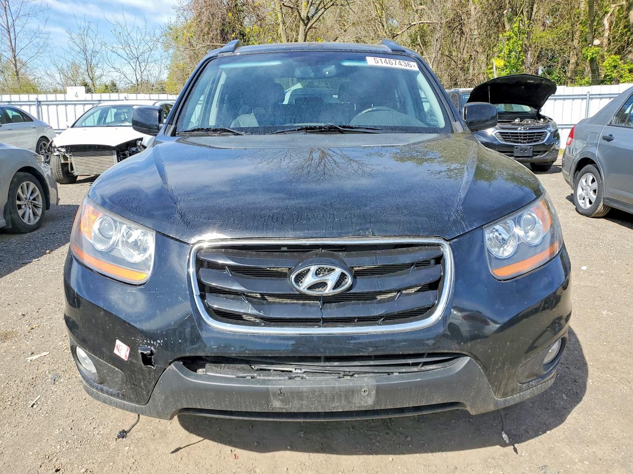 2010 HYUNDAI SANTA FE SE photo 9