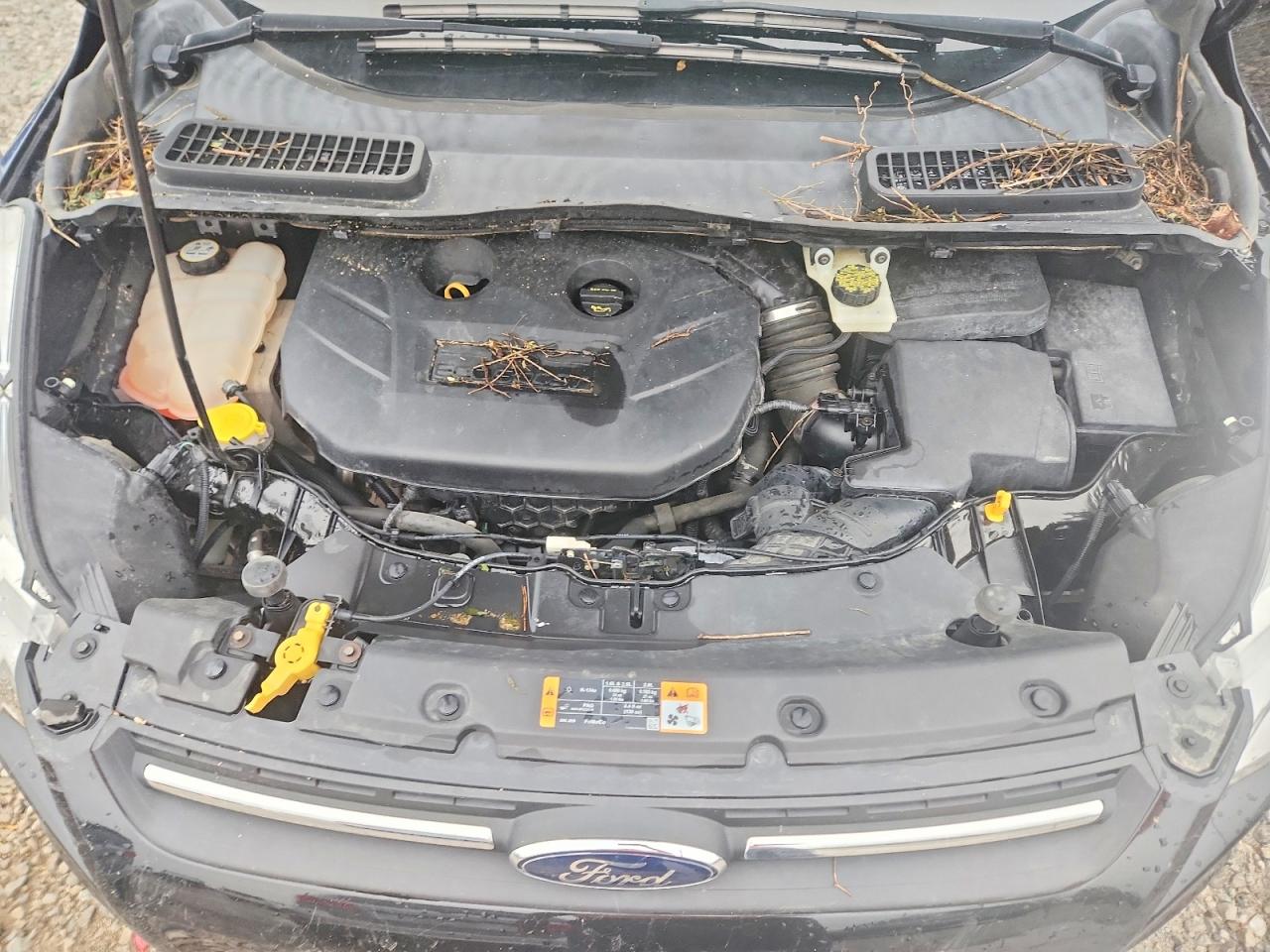 2013 FORD ESCAPE SE photo 23