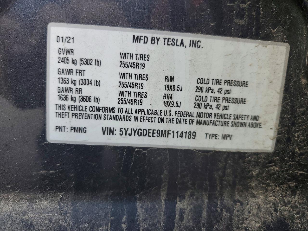 2021 TESLA MODEL Y photo 12