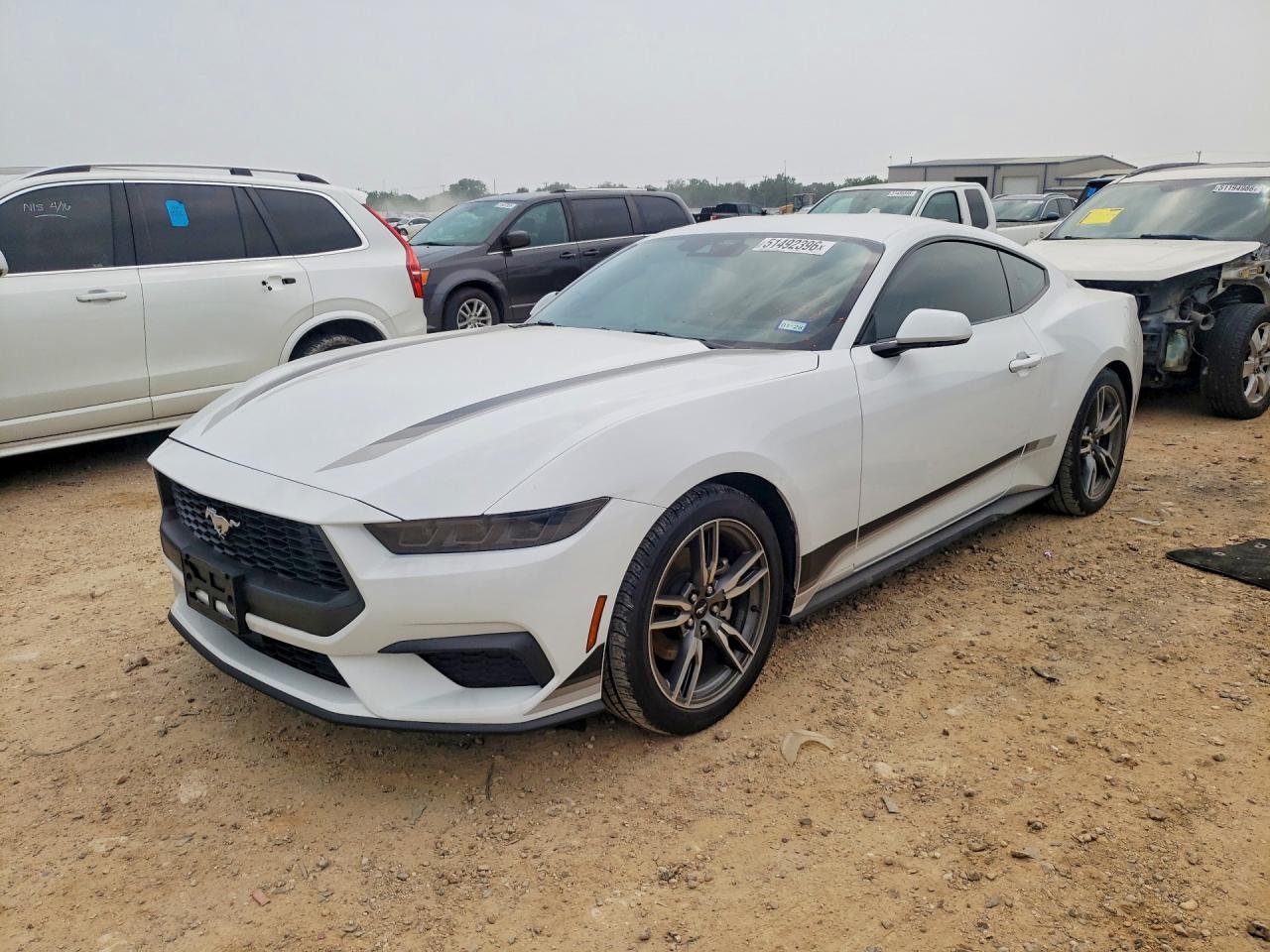 2025 FORD MUSTANG