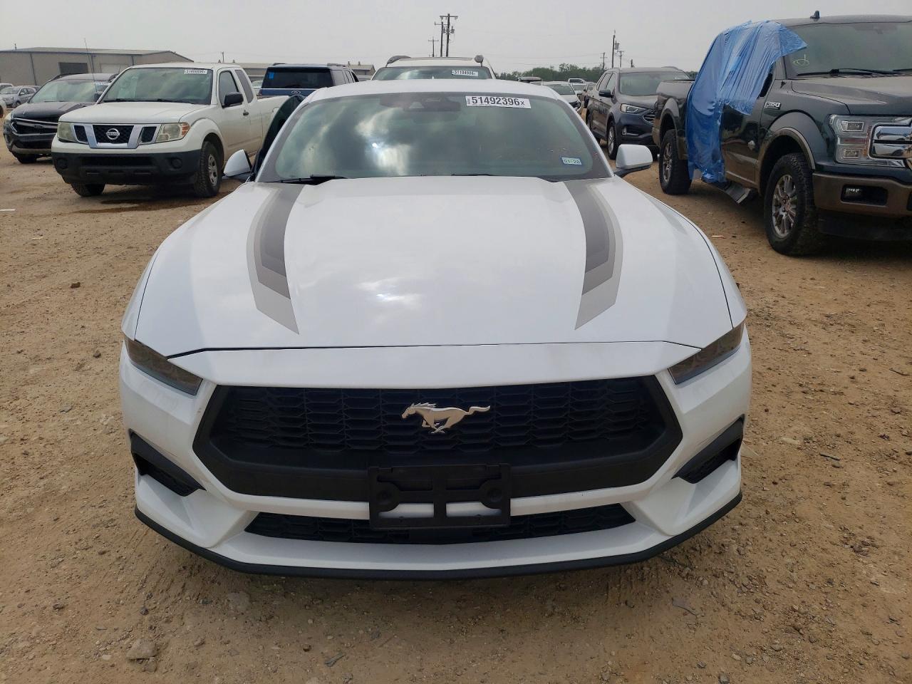 2025 FORD MUSTANG photo 13