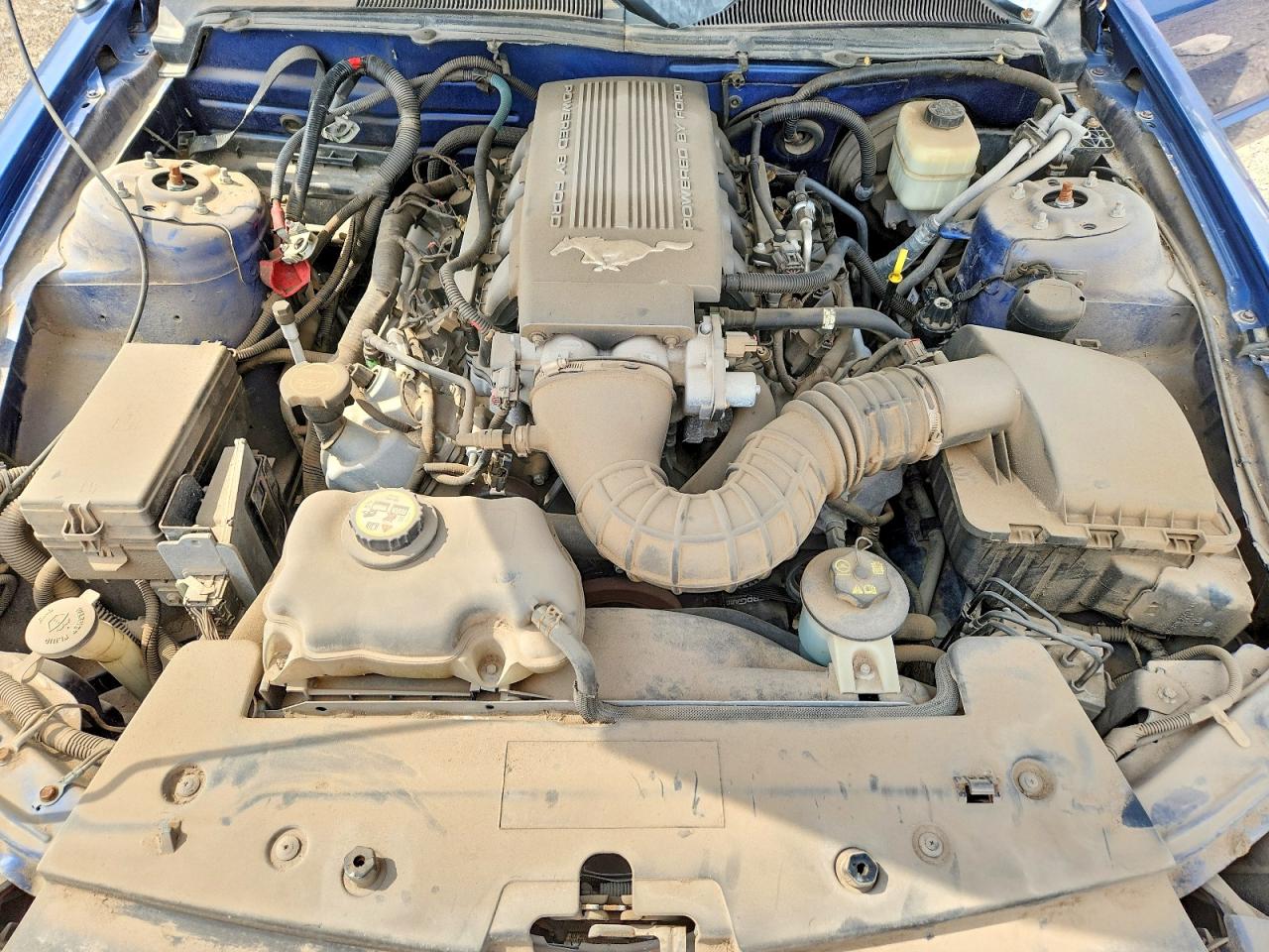 2007 FORD MUSTANG GT photo 21