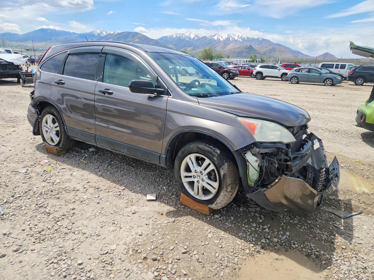 2010 HONDA CR-V EX photo 10