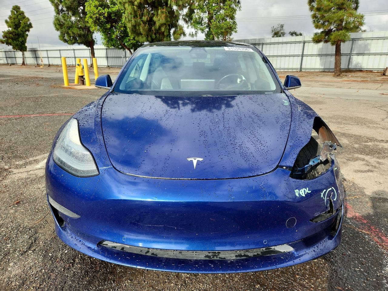 2019 TESLA MODEL 3 photo 13