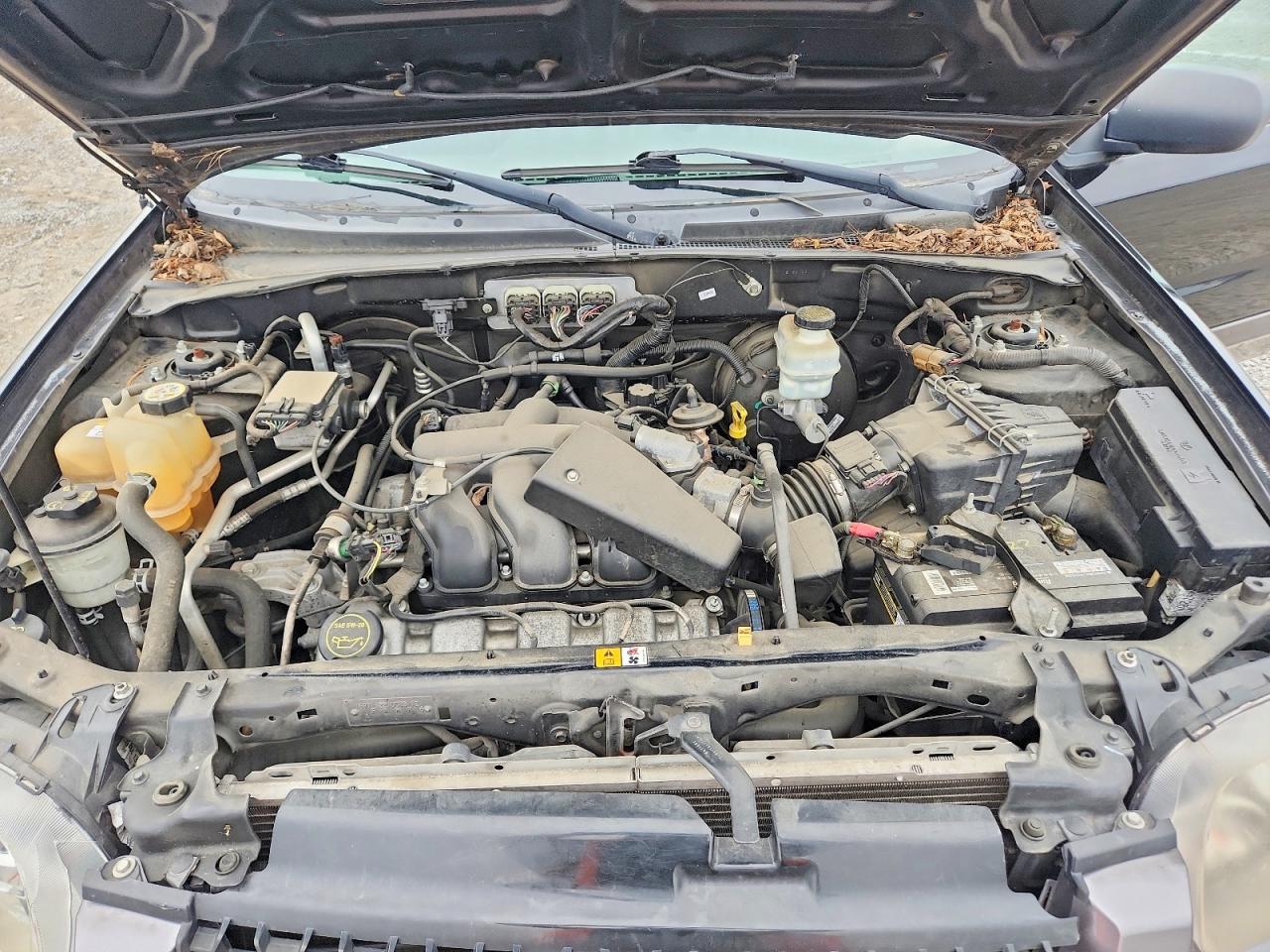 2006 FORD ESCAPE XLT photo 34