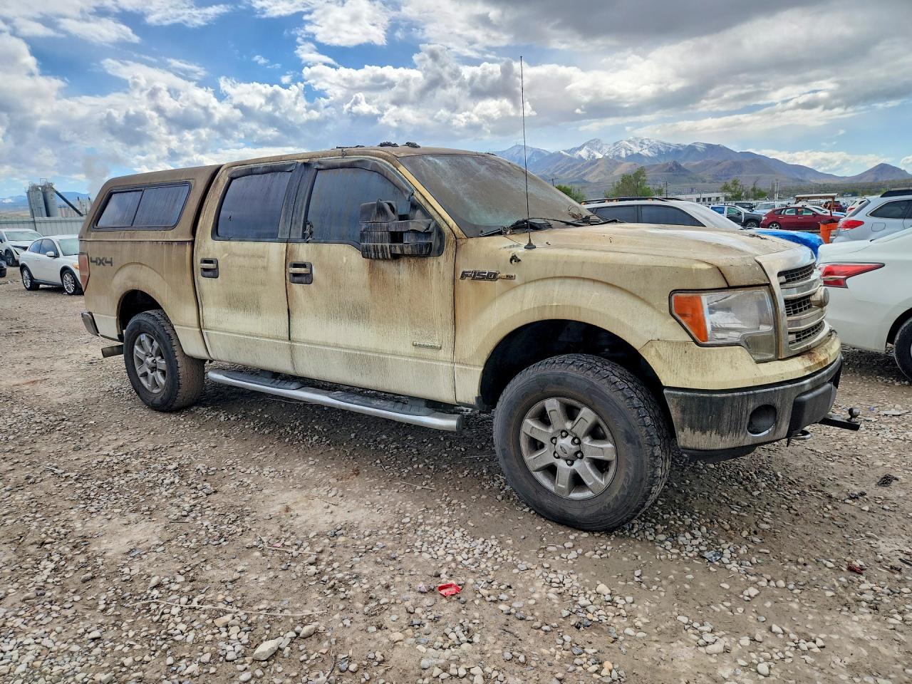 2014 FORD F150 SUPERCREW photo 4