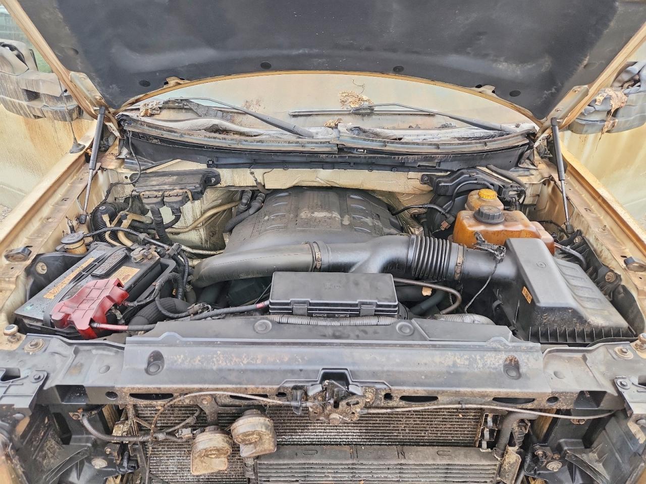 2014 FORD F150 SUPERCREW photo 11