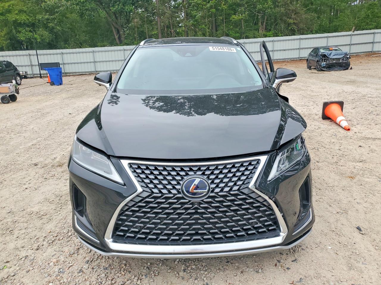 2022 LEXUS RX 450H photo 9