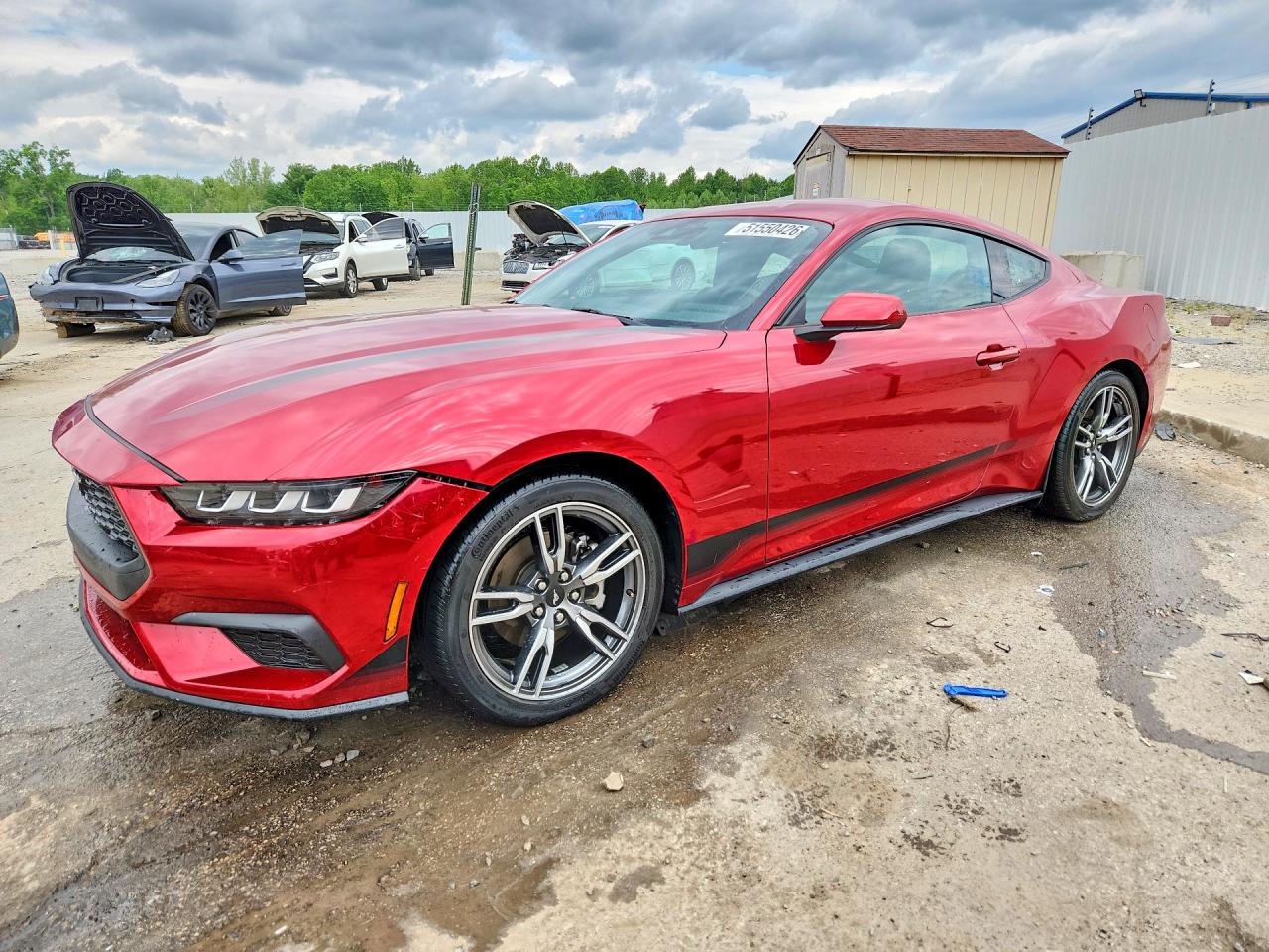 2024 FORD MUSTANG