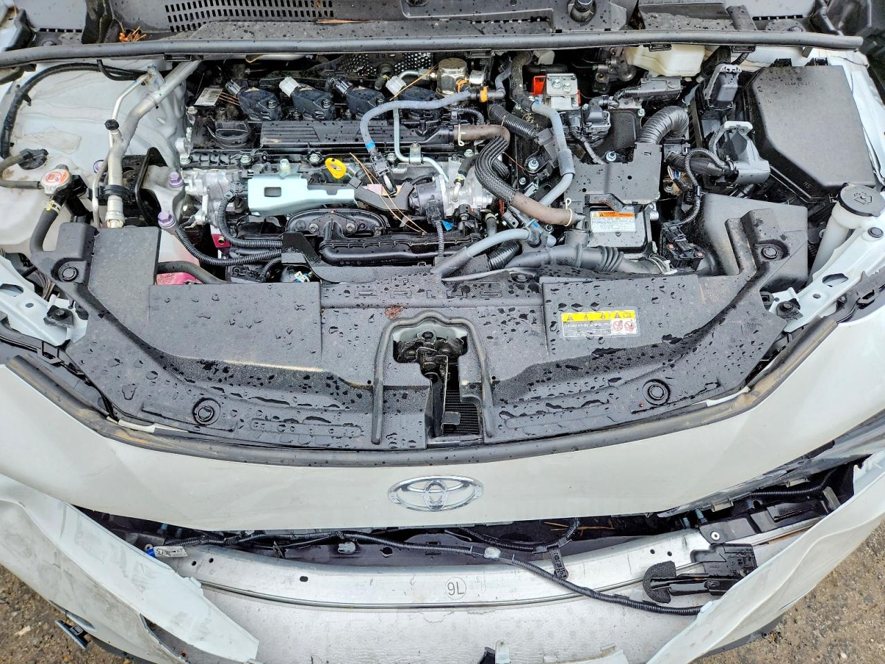 2024 TOYOTA PRIUS LE photo 11