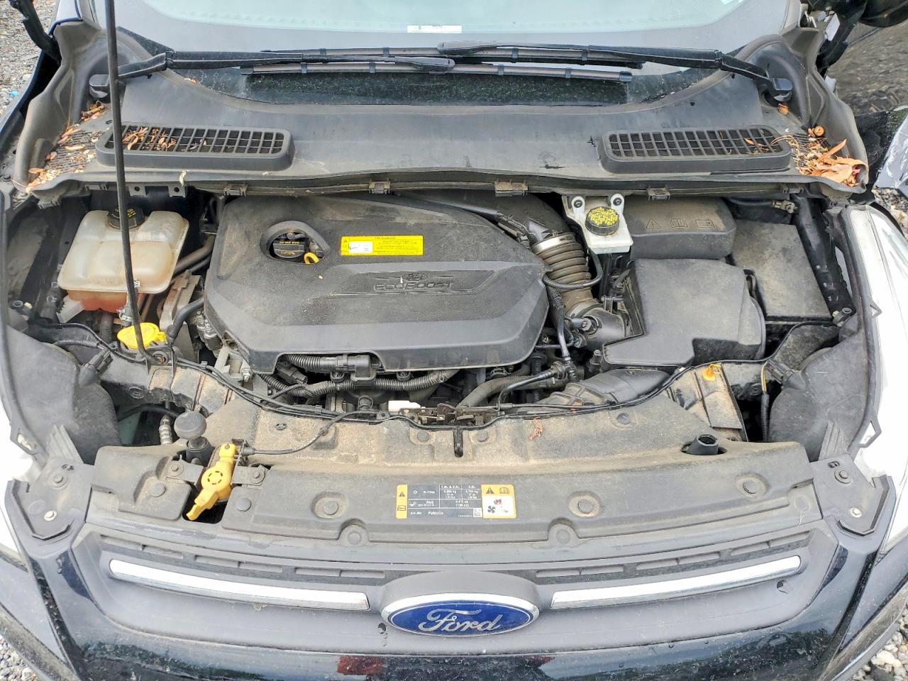 2016 FORD ESCAPE SE photo 12