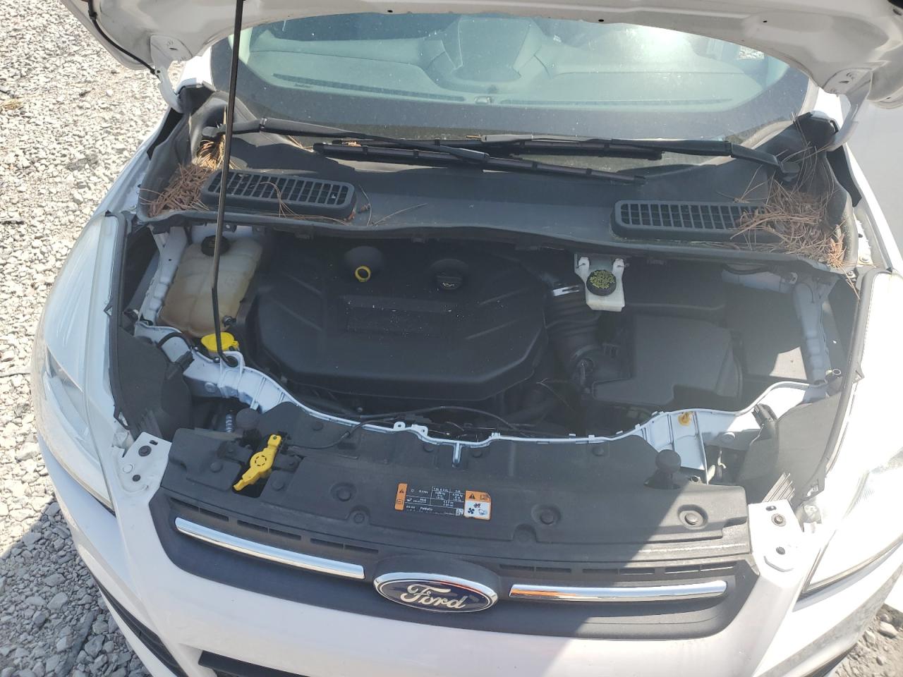 2014 FORD ESCAPE SE photo 21