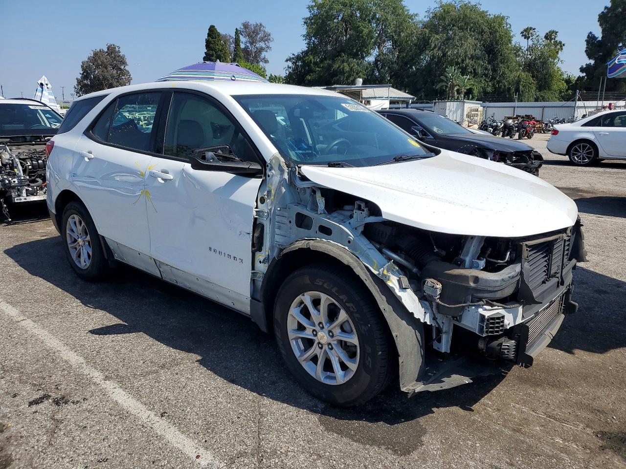 2019 CHEVROLET EQUINOX LS photo 10
