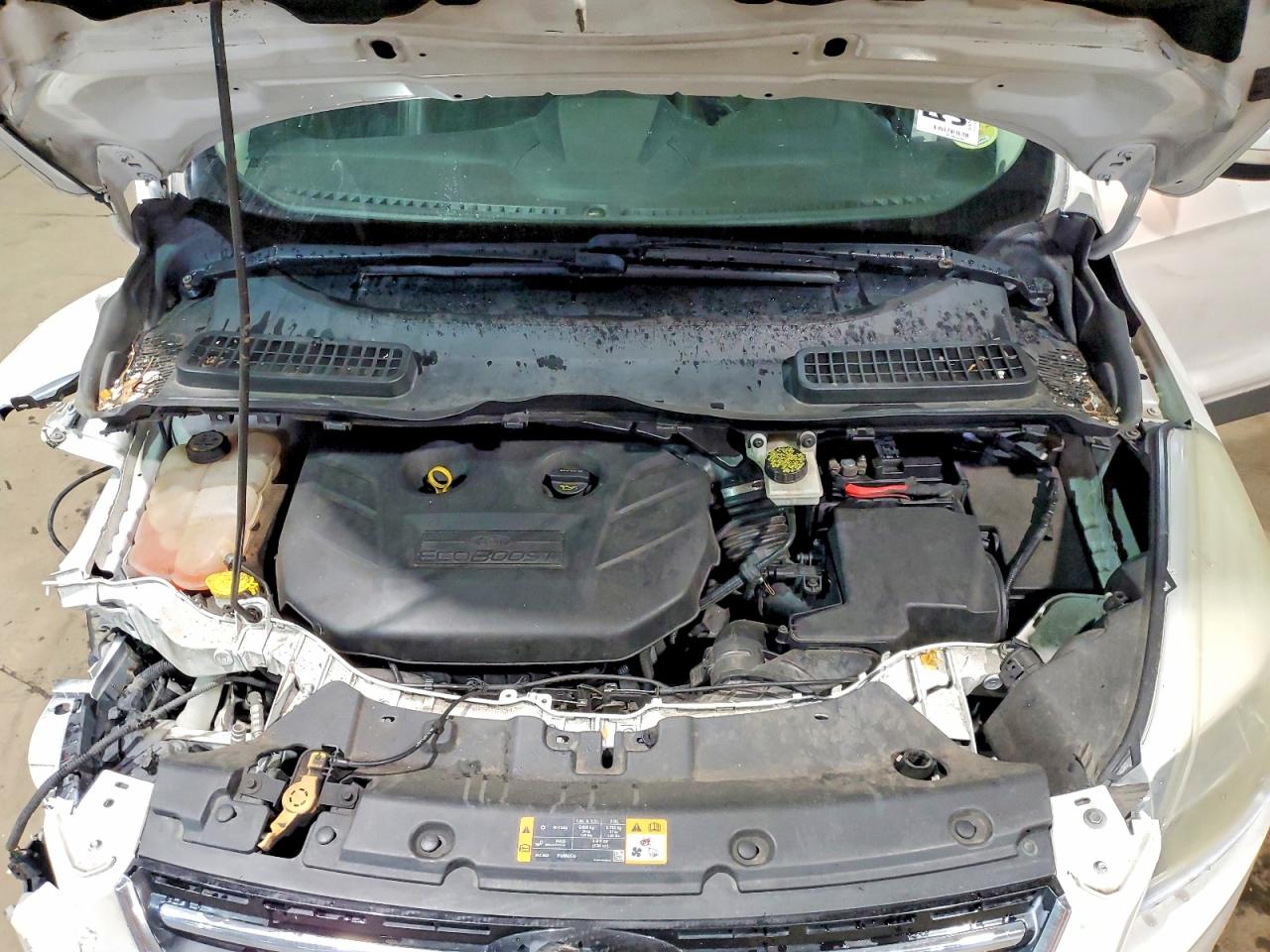 2013 FORD ESCAPE TITANIUM photo 12