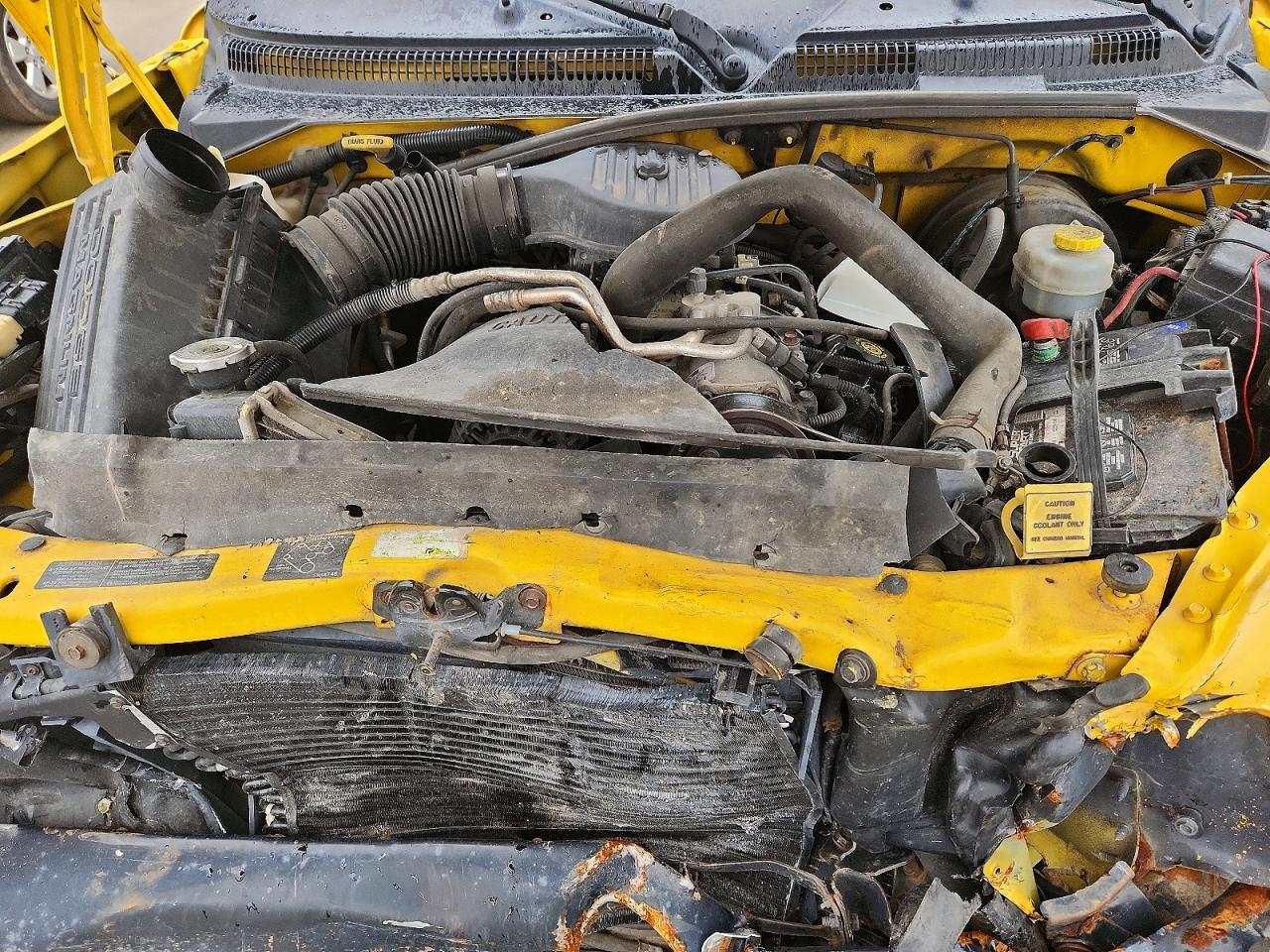 1999 DODGE DAKOTA photo 11
