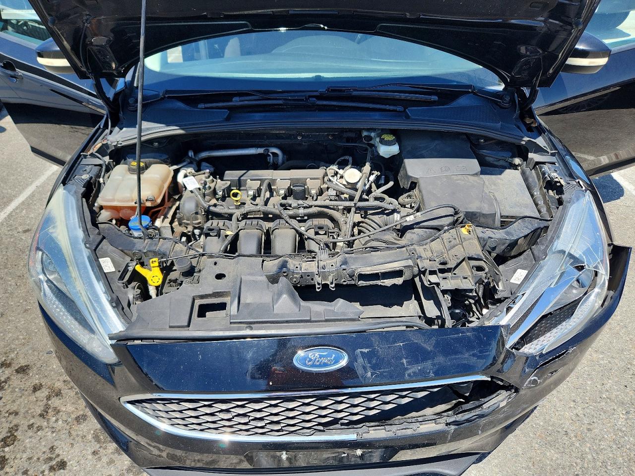 2017 FORD FOCUS SE photo 11