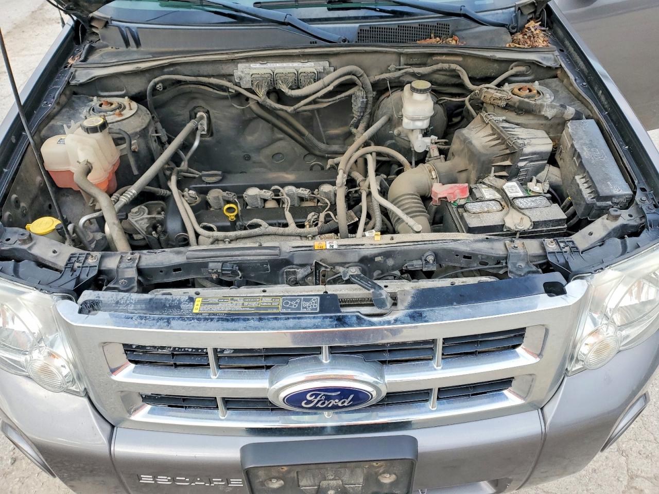 2012 FORD ESCAPE XLT photo 12