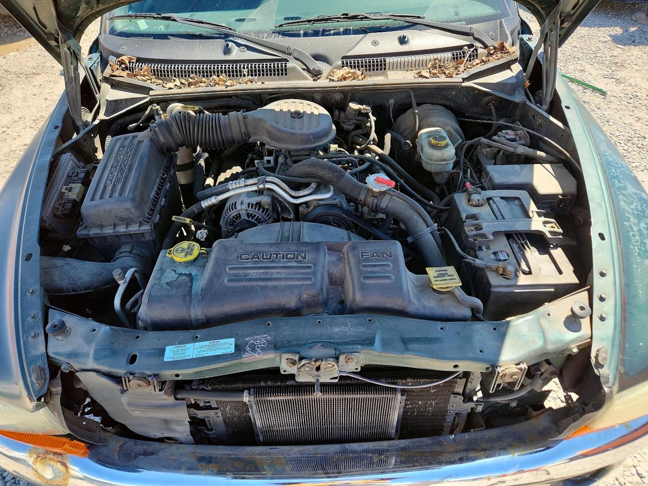 2000 DODGE DAKOTA photo 21