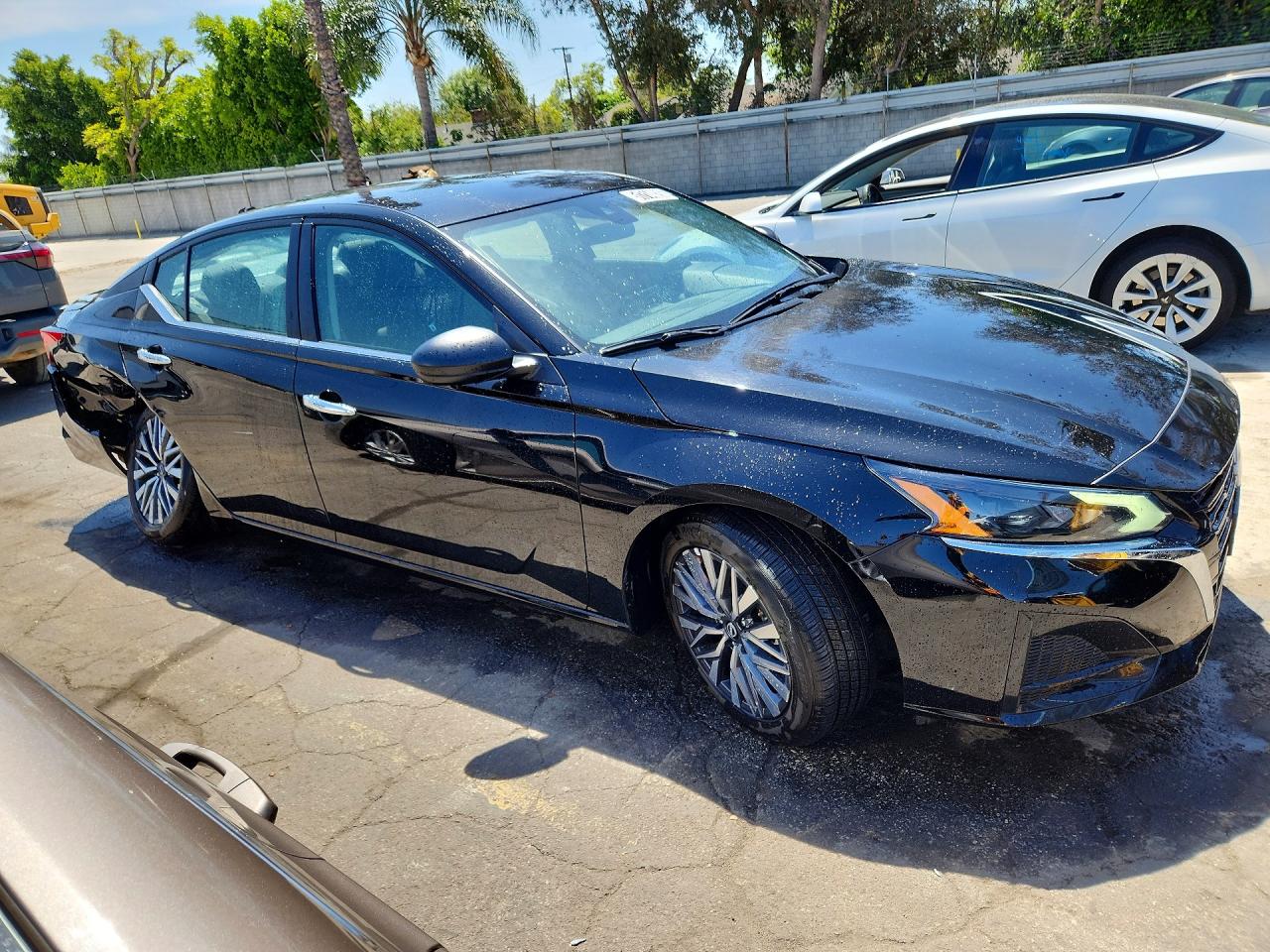 2025 NISSAN ALTIMA SV photo 7