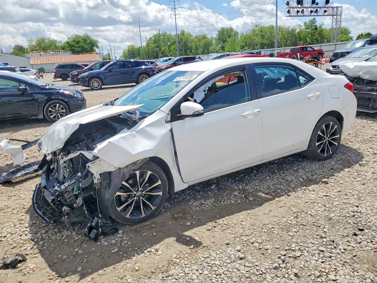 2019 TOYOTA COROLLA