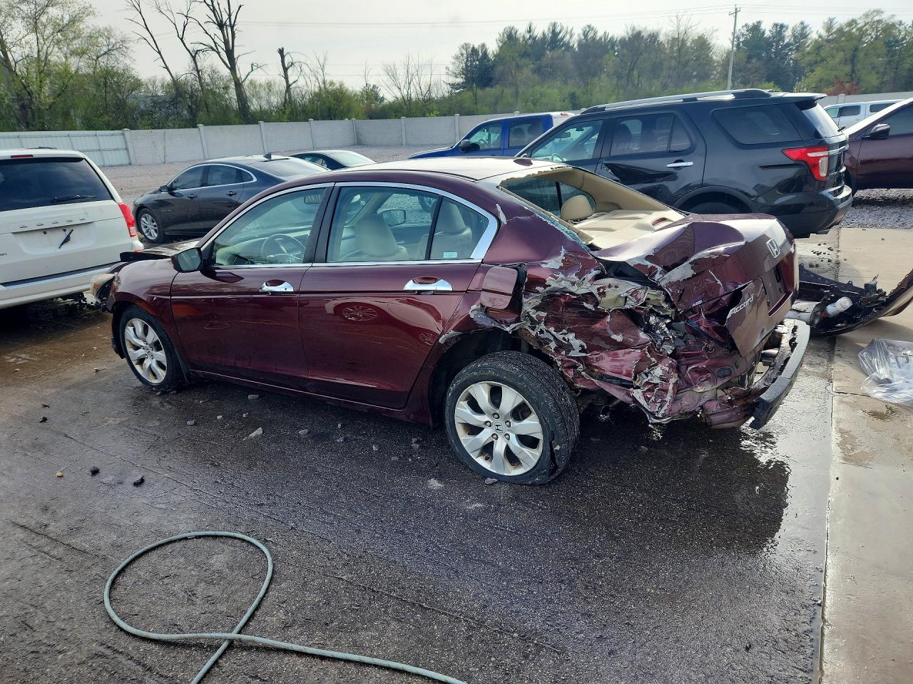 2008 HONDA ACCORD EXL photo 4