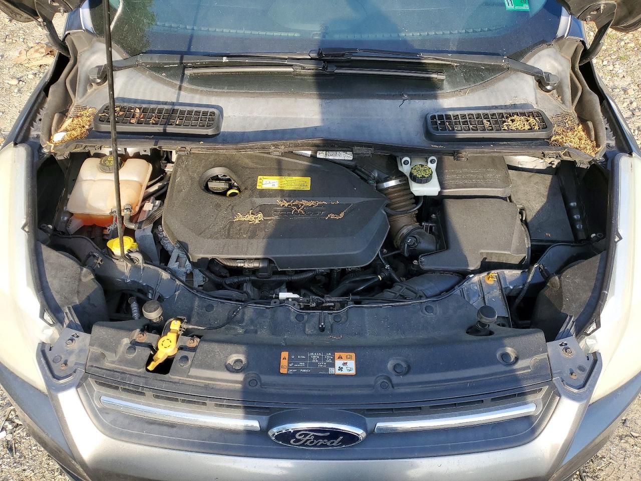 2014 FORD ESCAPE SE photo 23